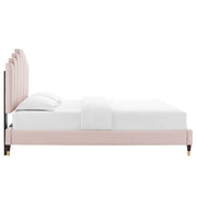 Modway MOD-6873 Elise Twin Performance Velvet Platform Bed