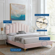Modway MOD-6879 Elise Twin Performance Velvet Platform Bed