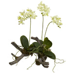 Nearly Natural 4837 Mini Phalaenopsis On Elegant Root Base Plants