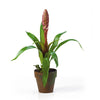 Nearly Natural 4502-MA Potted Single Sword Bromeliad Silk Flower Arrangement