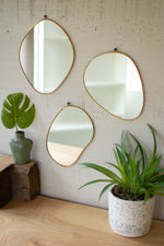 Kalalou NVE1012 Set of Three Brass Framed Organic Shaped Mirrors