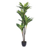 Vickerman T160965 60" Artificial Real Touch Dracaena Tree