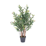 Vickerman T161330 30" Artificial Olive Tree