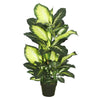 Vickerman TA170201 40" Artificial Green & White Dieffenbachia