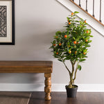 Vickerman TA170701 48