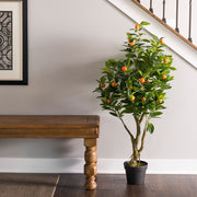 Vickerman TA170701 48