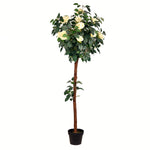 Vickerman TA191559 5' Artificial Potted White Rose Tree