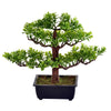 Vickerman TA192010 10" Artificial Potted Murraya Bonsai Tree