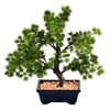 Vickerman TA192012 12" Artificial Potted Pine Bonsai Tree