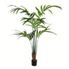 Vickerman TB090550 5' Artificial Potted Kentia Palm Tree