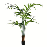 Vickerman TB090550 5' Artificial Potted Kentia Palm Tree