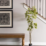 Vickerman TB170160 5' Artificial Green Cotinus Coggygria Tree