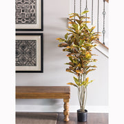 Vickerman TB170672 6' Green & Orange Cronton Tree