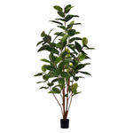 Vickerman TB170760 5' Potted Artificial Green Rubber Tree