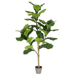 Vickerman TB180248 4' Artificial Potted Fiddle Tree