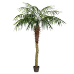 Vickerman TB180372 6' Artificial Potted Pheonix Palm Tree
