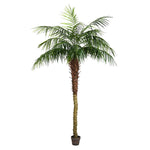 Vickerman TB180384 7' Artificial Potted Pheonix Palm Tree