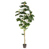 Vickerman TB180472 6' Artificial Potted Fig Tree