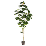 Vickerman TB180472 6' Artificial Potted Fig Tree