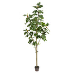 Vickerman TB180484 7' Artificial Potted Fig Tree