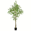 Vickerman TB190660 6' Artificial Potted Ginkgo Tree