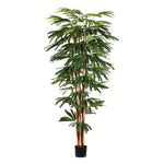 Vickerman TB190960 6' Artificial Potted Rhaphis Tree