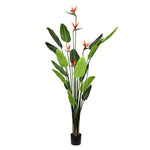 Vickerman TB191260 6' Artificial Potted Bird of Paradise Palm Tree