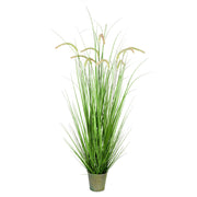 Vickerman TD190148 48