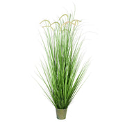 Vickerman TD190160 60