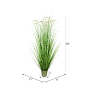 Vickerman TD190160 60