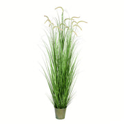 Vickerman TD190172 72