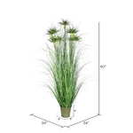 Vickerman TD190260 60" Artificial Potted Green Grass & Cyperus Heads
