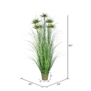 Vickerman TD190260 60