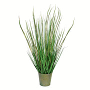 Vickerman TD190434 34