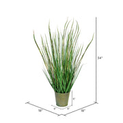 Vickerman TD190434 34