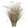 Vickerman TD190736 34" Artificial Potted Green Grass with Cattails