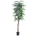 Vickerman TEC0160-07 6' Artificial Ficus Tree in a Black Plastic Pot