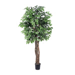 Vickerman TEX0160-07 6' Artificial Ficus Executive in a Black Plastic Pot