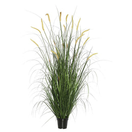 Vickerman TN170736 36