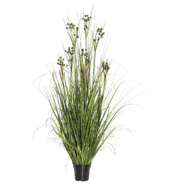 Vickerman TN171124 24