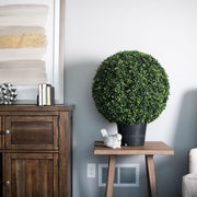 Vickerman TP171320 20