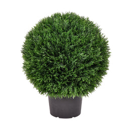 Vickerman TP171420 20