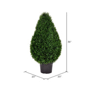 Vickerman TP171636 36