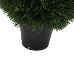 Vickerman TP171636 36
