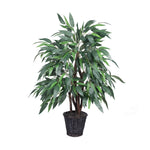 Vickerman TXX2840 4' Artificial Mango Extra Full Bush in Rattan Basket