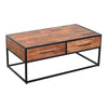 The Urban Port 2 Drawer Industrial Metal Coffee Table with Wooden Tile Top, Brown and Black