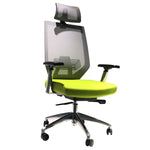 The Urban Port Adjustable Headrest Ergonomic Office Swivel Chair with Padded Seat and Casters, Green and Gray