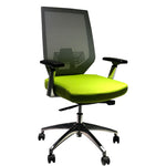 The Urban Port Adjustable Mesh Back Ergonomic Office Swivel Chair with Padded Seat and Casters, Green and Gray