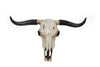 HiEnd Accents Steer Skull Wall Hanging