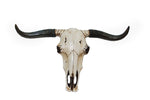 HiEnd Accents Steer Skull Wall Hanging